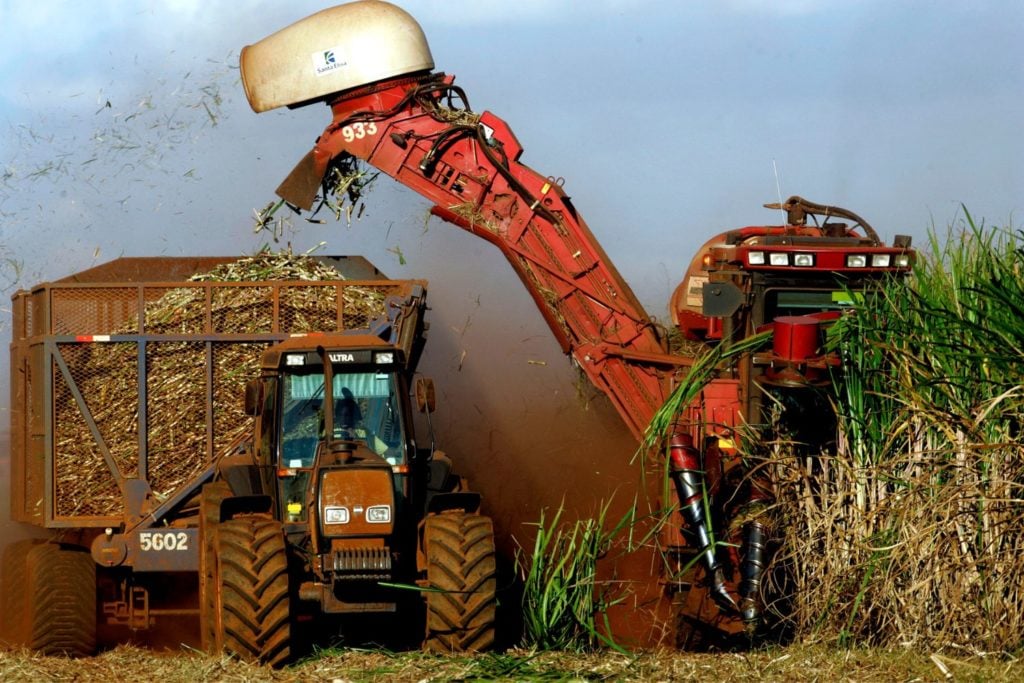 São Paulo Supera Mato Grosso na Exportação do Agro e Lidera Ranking no