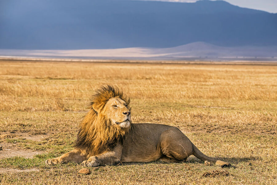 Istock
