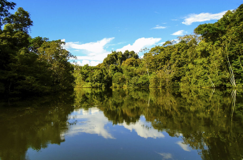Best Rios 10 rios mais longos do mundo e como atravessá-los