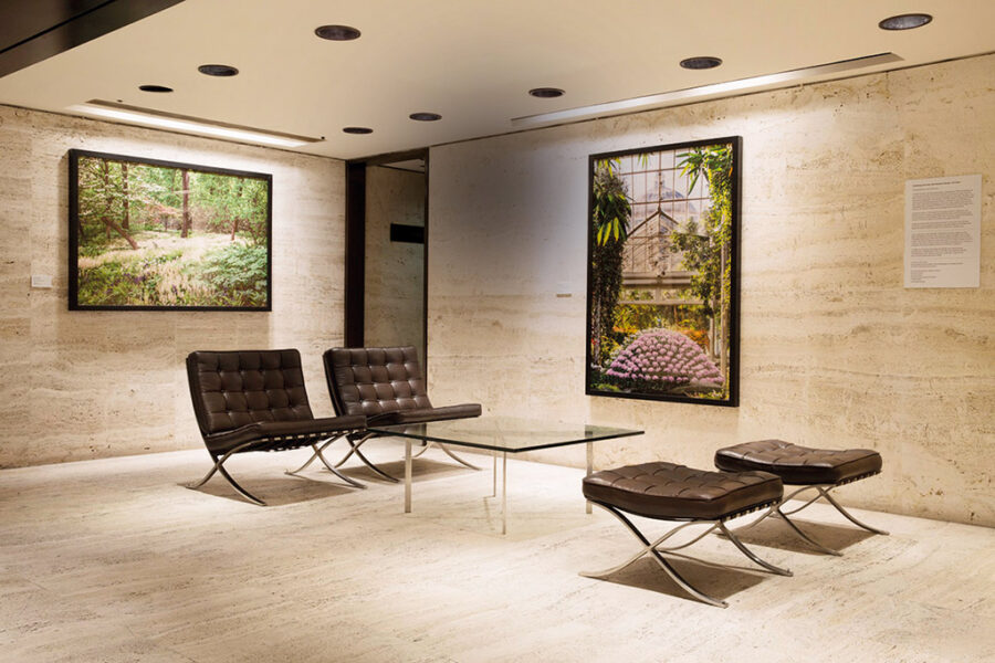 Four Seasons NY