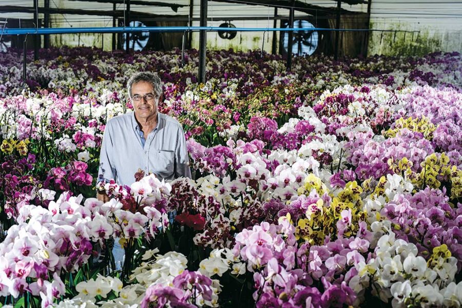 Franciscus van de Weijer na sede da Ecoflora, em Holambra (Alexandre Battibugli)