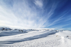 iStock
