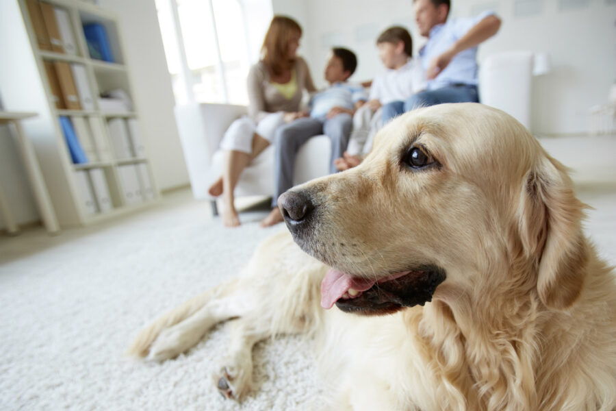 iStock