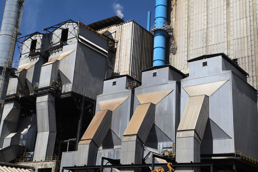 Brasileira produz cerca de 5,4 toneladas de celulose anualmente (Getty Images)