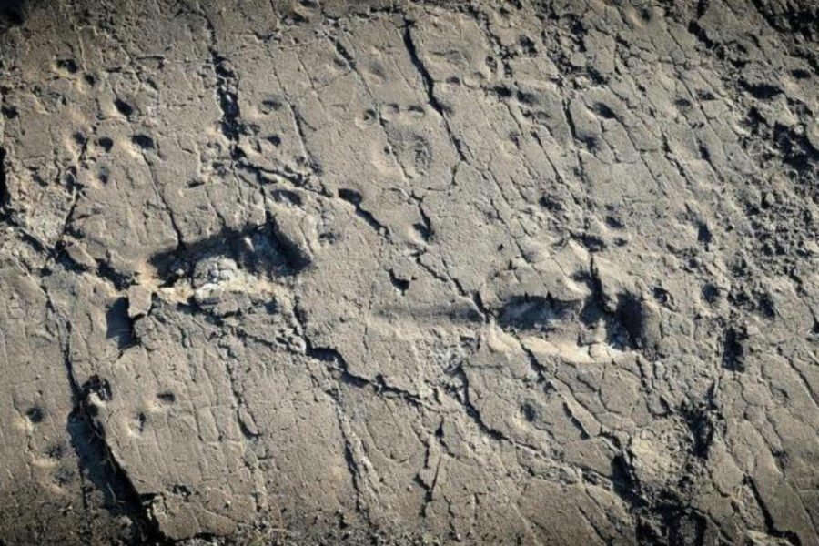 Fósseis de pegadas de  Australopithecus afarensis Crédito: Raffaello Pellizzon