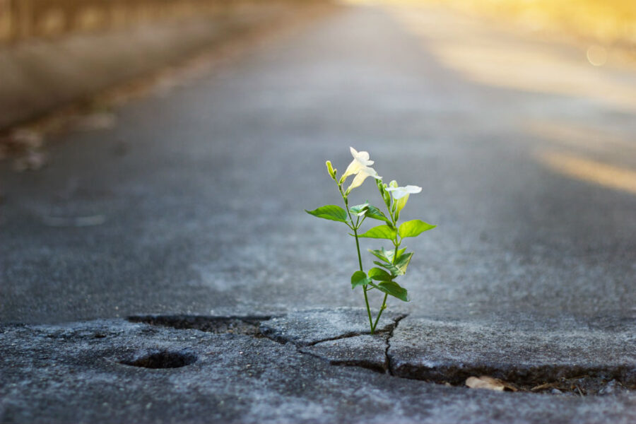 iStock