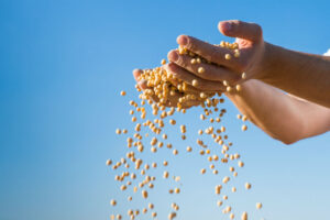 iStock