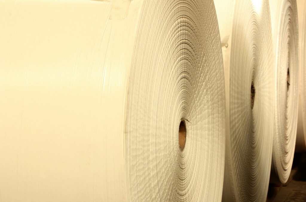 Fibrille Paper Paper Excellence apresenta proposta pela Fibria, dizem fontes