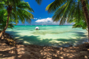 iStock