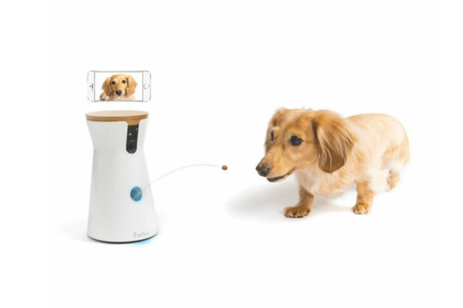 Tecnologia ajuda tutores de cães que trabalham fora Reprodução/FORBES