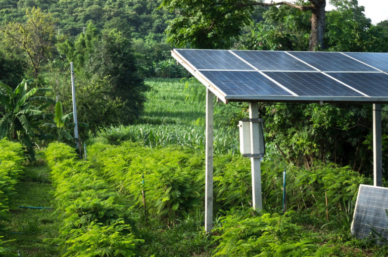 Energia solar impulsiona a economia na África - iStock