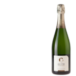 6 champanhes non-vintage que você precisa conhecer -Foto divulgação Gosset
