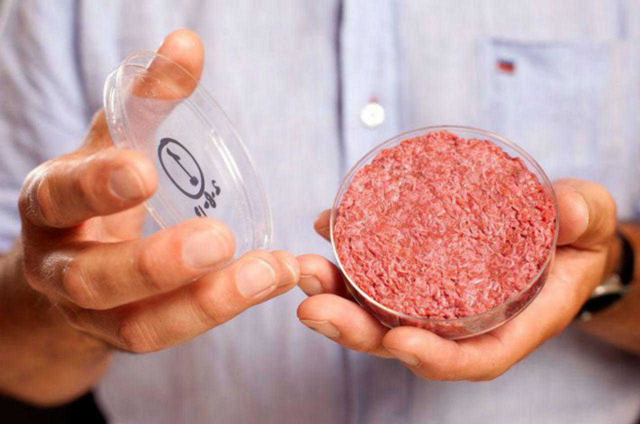 Merck e Bell Food Group passam a investir em carne de laboratório - Foto reprodução FORBES