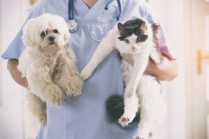 iStock