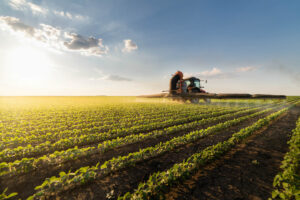 iStock