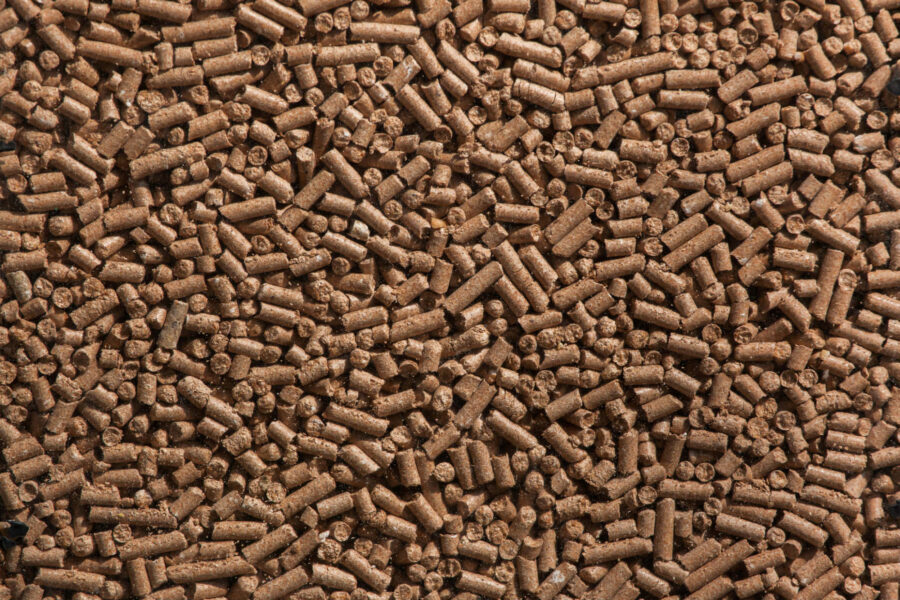 iStock