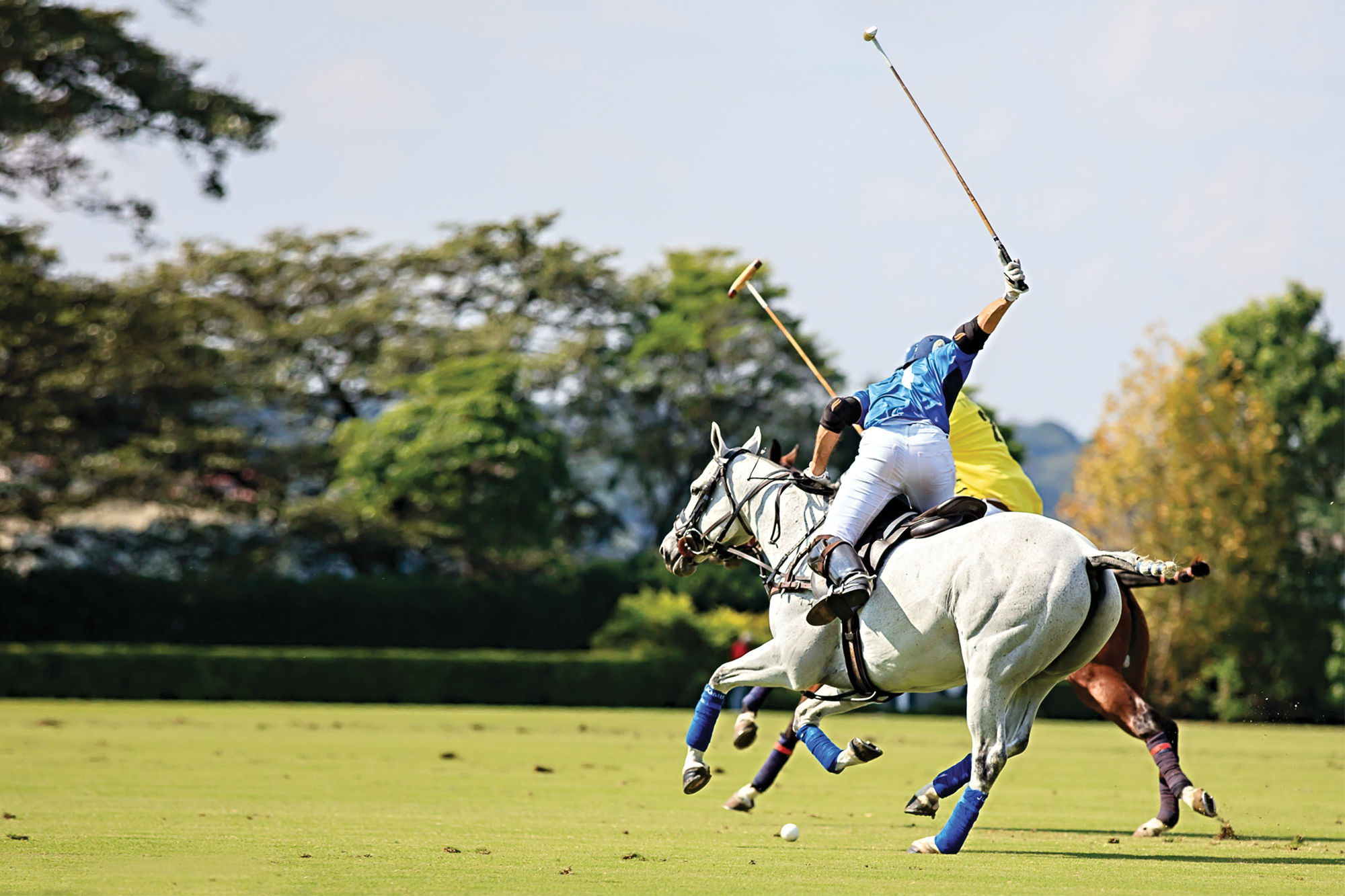 O Jogo De Ação Do Cavalo Dos Cavaleiros Do Jogador De Ireland V Zimbabwe Em  Jogos Do Campeonato Da Polo-cruz Do Campeonato Do Mundo Em Campos Do  Equestrain De Shongweni Fora De