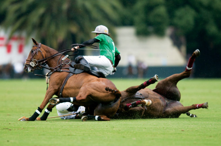 Foto de Cavalos De Polo e mais fotos de stock de Jogo de Polo