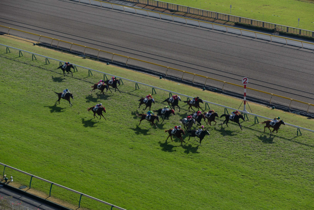 Jockey Clubs nos Estados Americanos: Uma Viagem Pelo Mundo das Corridas de  Cavalos 