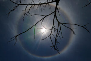Ueslei Marcelino/Reuters