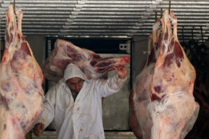 Paulo Whitaker/Reuters