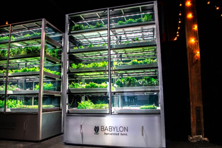 ReproduçãoForbes