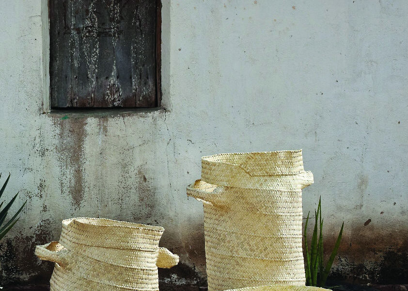 Tatiana Cardeal