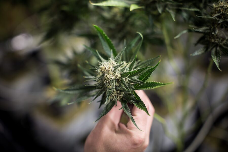 GettyImages/BloombergCreativePhotos