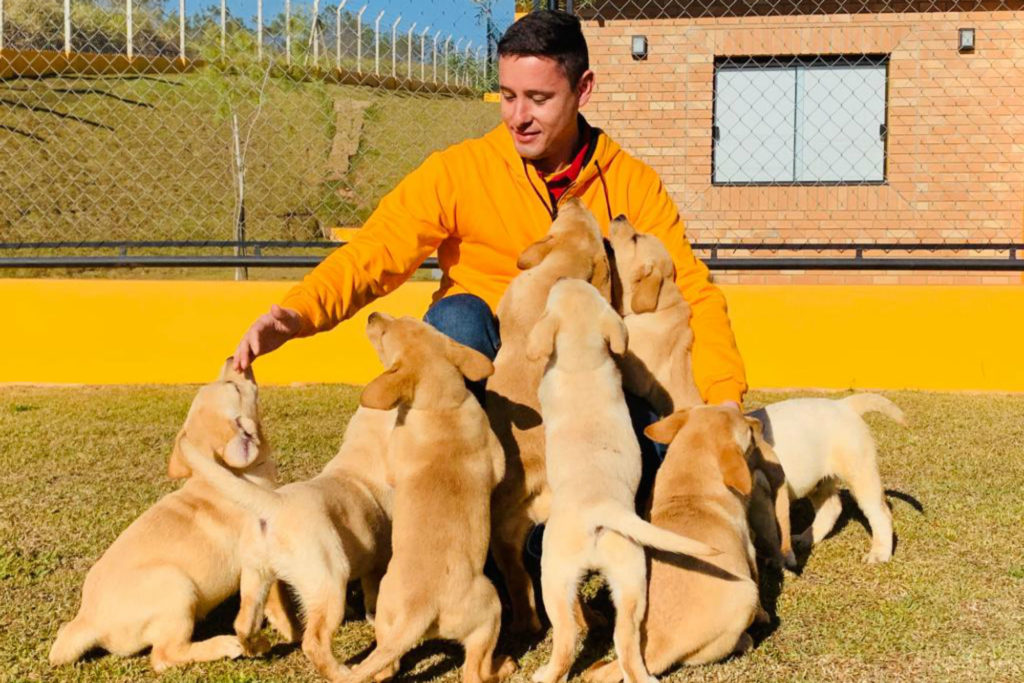 Fila Brasileiro: Saiba mais no Guia de Bichos