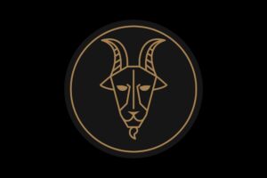 Signo de elemento terra, Capricórnio simboliza maturidade, responsabilidade, ambição consciente e visão de longo prazo