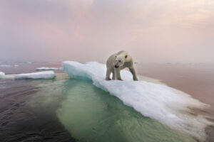 Paul Souders/GettyImages