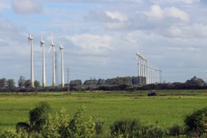 LeliaValduga/GettyImages
