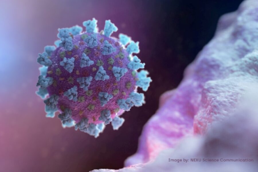 NEXU Science Communication/Reuters