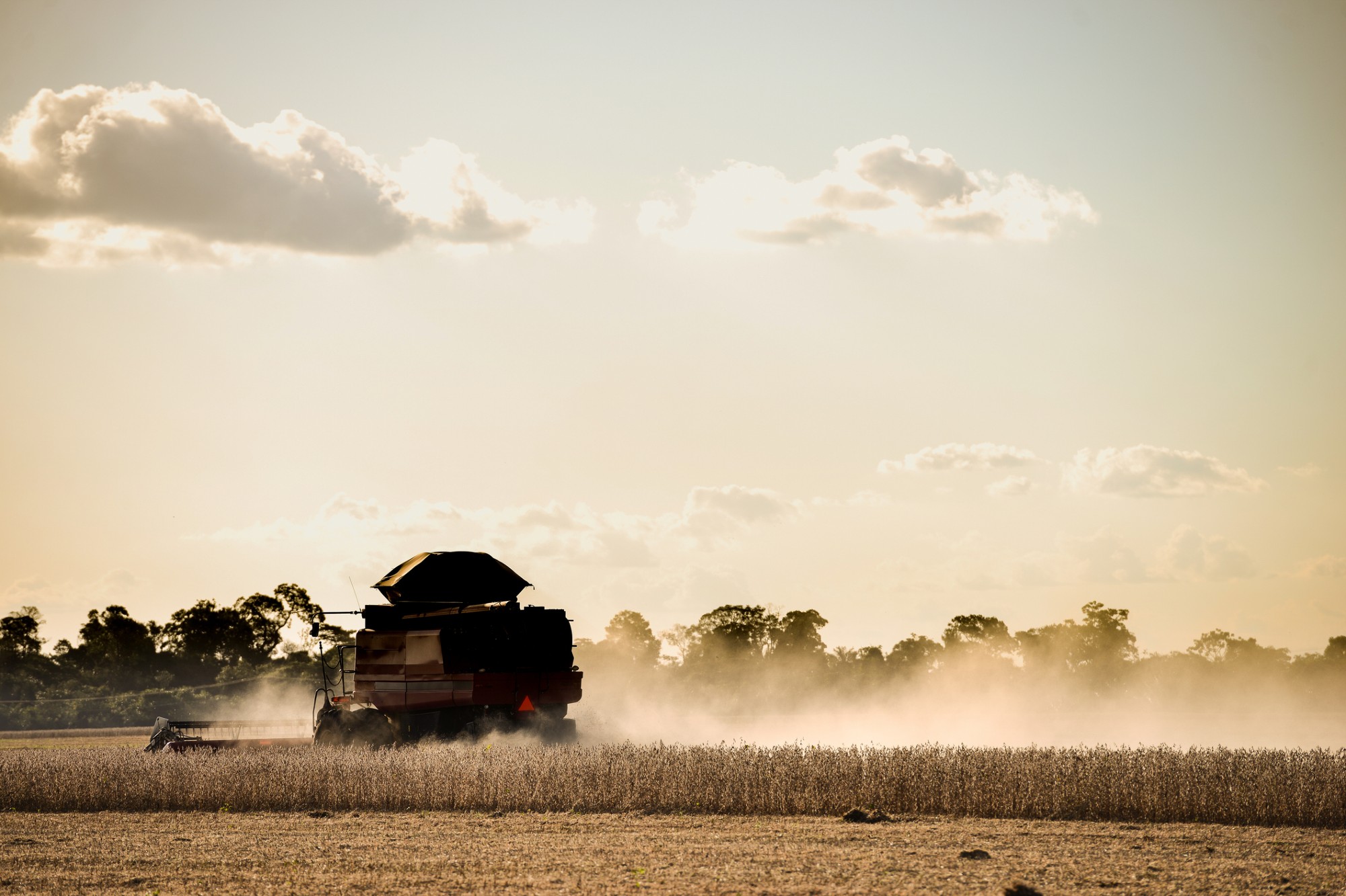 Em sete meses de operação no país, Agro.Club fatura R$ 150 milhões, Agronegócios