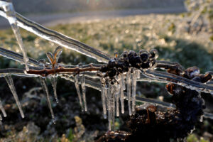 Reuters/Pascal Rossignol