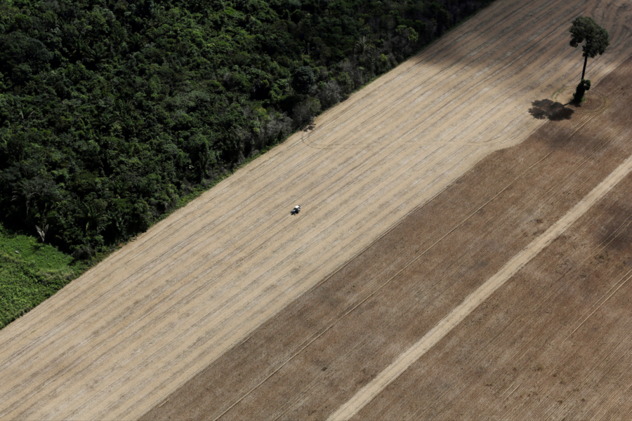 Nacho Doce/File Photo/Reuters