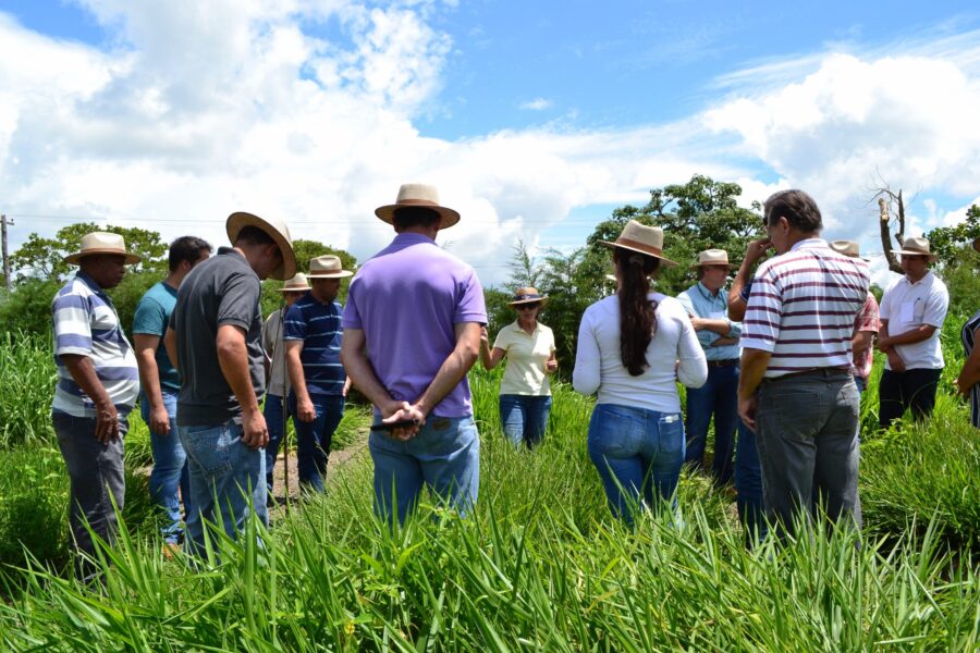 Embrapa