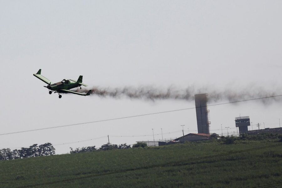 Nacho Doce/Reuters