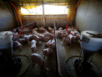 Rodolfo Buhrer/Reuters