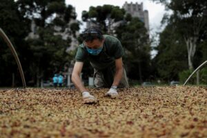 Amanda Perobelli/Reuters