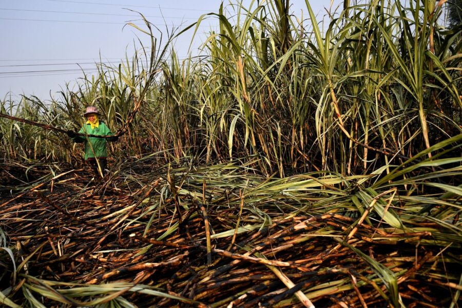 Chalinee Thirasupa/Reuters