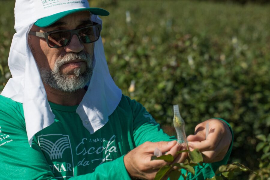  Tony Oliveira/Trilux/CNA
