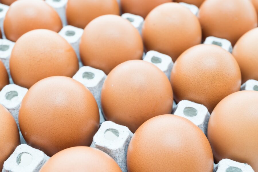 Lifeforstockfreepik
