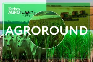 notícias do agro