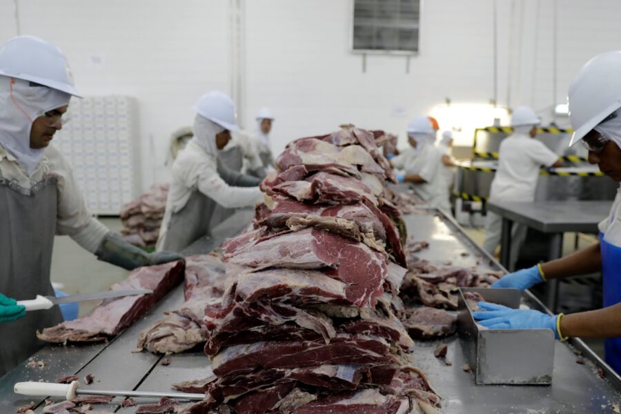 Paulo Whitaker/Reuters