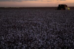 Ricardo Moraes/Reuters