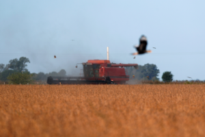 Agustin Marcarian/Reuters