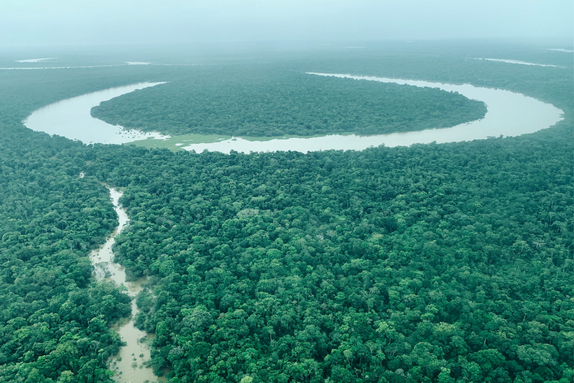 Com US$ 400 milhões já investidos na região amazônica desde 2010, Natura  reforça iniciativas de sustentabilidade - Forbes