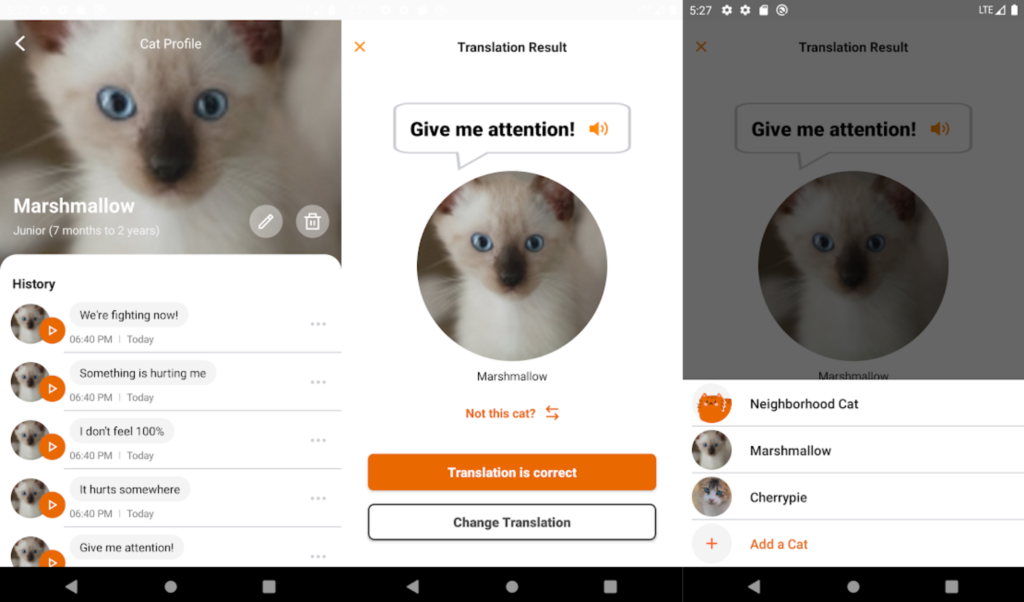 cat profile picture – Apps on Google Play