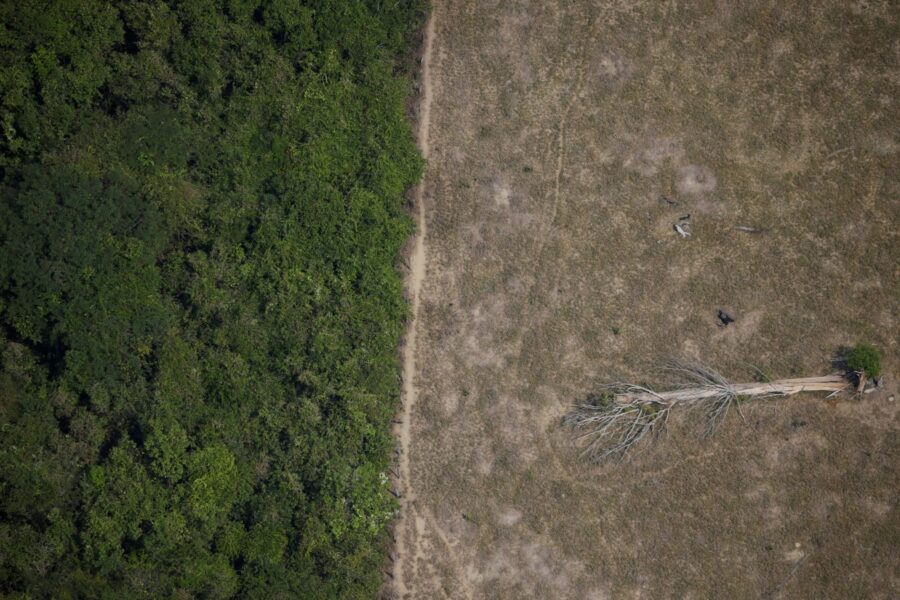 Ueslei Marcelino/Reuters